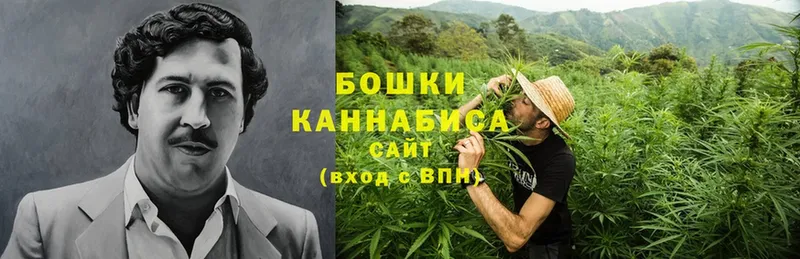 Канабис план  Выборг 